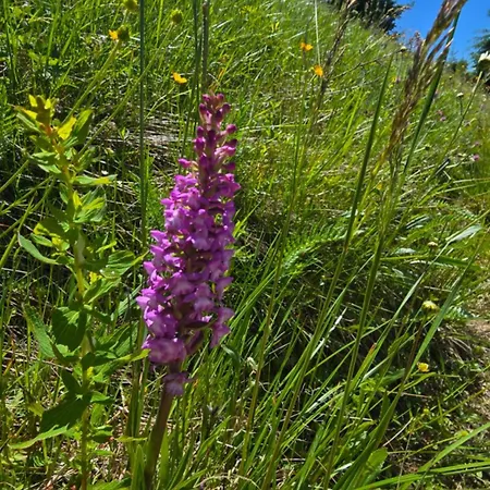 Andrejkin Dom Blatnica