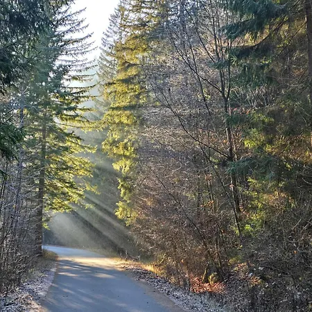 Andrejkin Dom * Blatnica