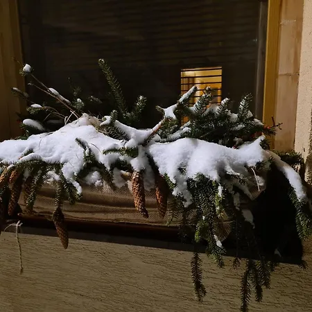 Andrejkin Dom Dom wakacyjny