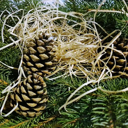 Andrejkin Dom Blatnica