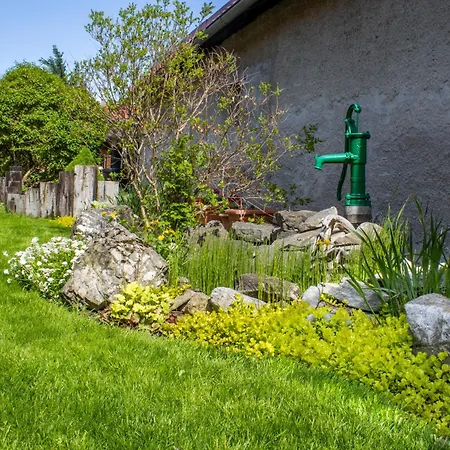 Dom wakacyjny Andrejkin Dom *