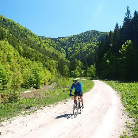 Andrejkin Dom Dom wakacyjny