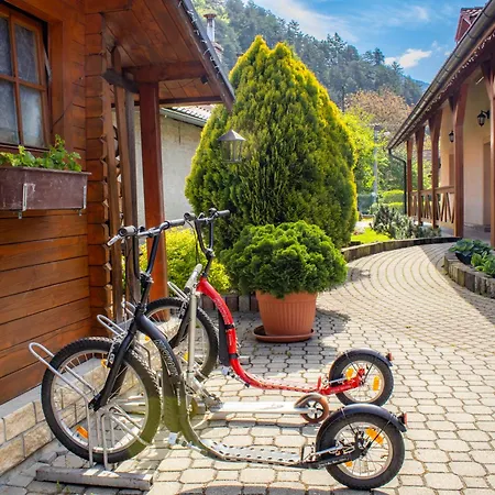 Dom wakacyjny Andrejkin Dom