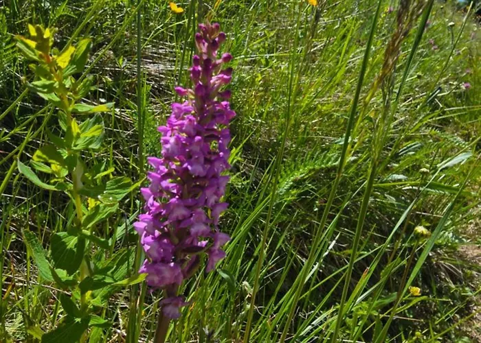 Andrejkin Dom Blatnica