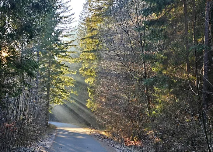 Andrejkin Dom * Blatnica