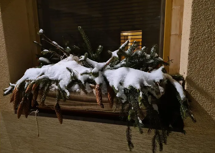 Andrejkin Dom Hébergement de vacances