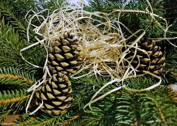 Andrejkin Dom Blatnica