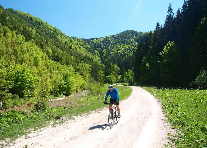 Andrejkin Dom Hébergement de vacances