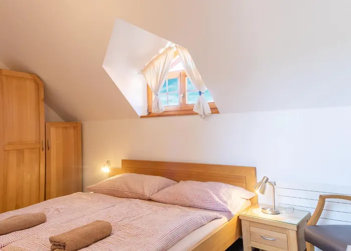 Andrejkin Dom Hébergement de vacances *